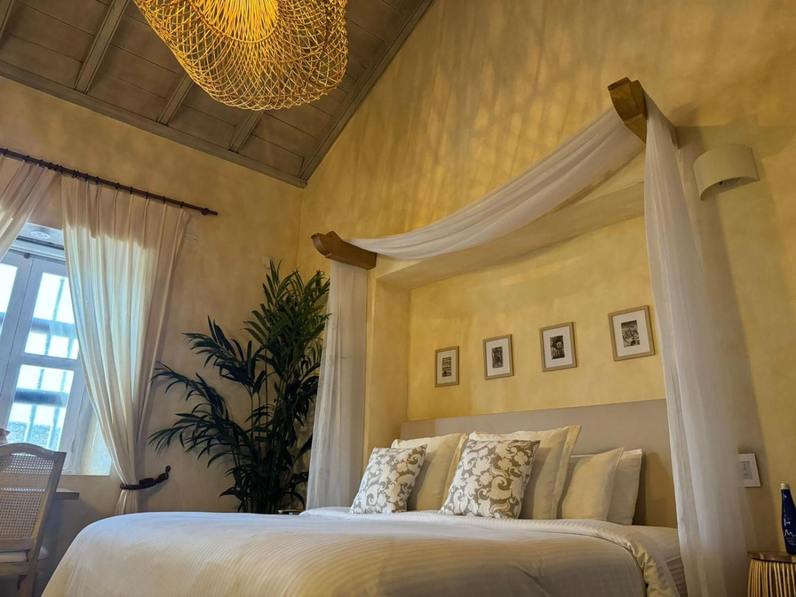 Moet Boutique Adutls Only 4*