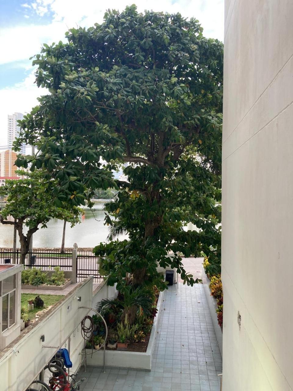 Apartment Amazing Ocean View With Pool In Laguito *