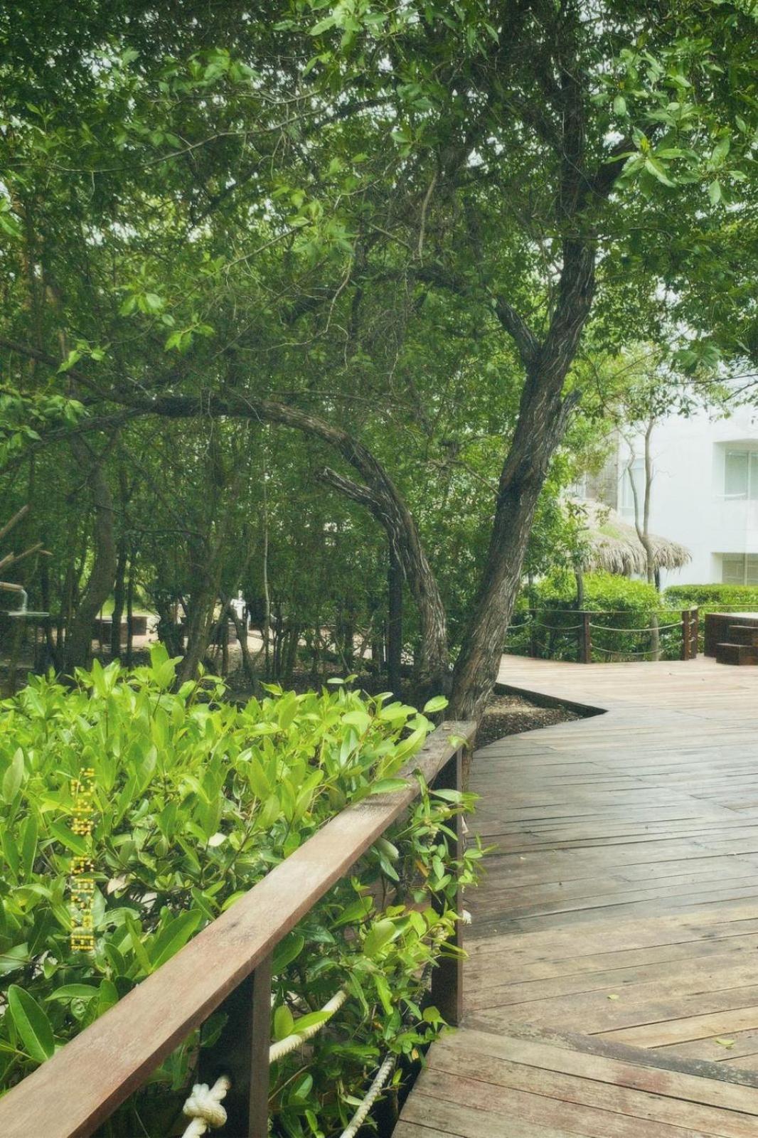 Santo Manglar Life Wellness Resort 3*