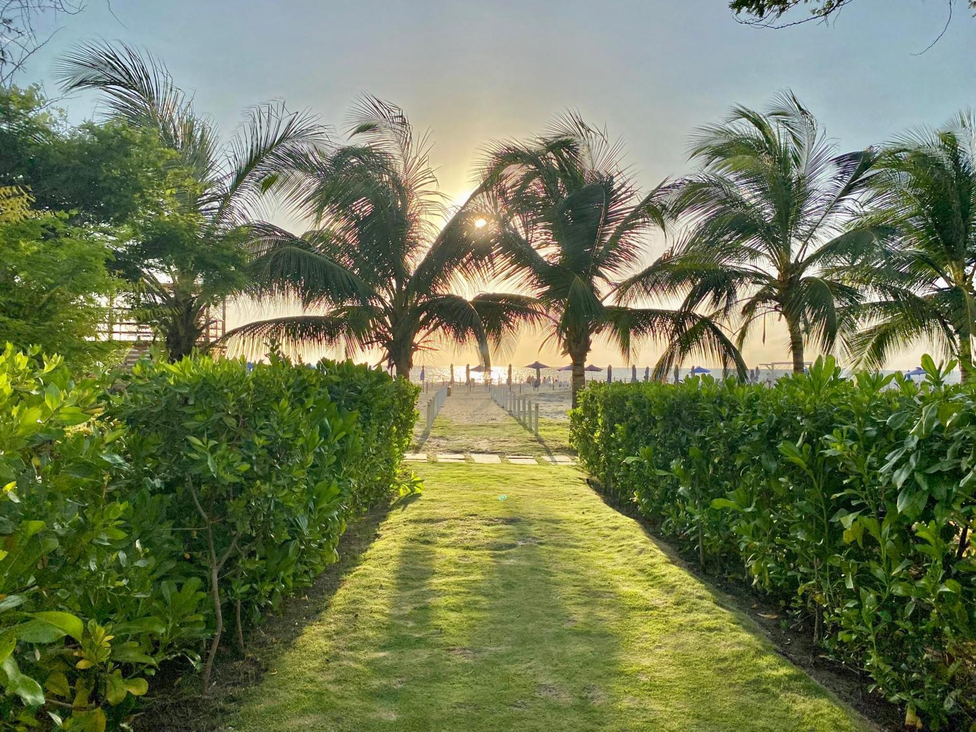 Apartment Manzanillo Del Mar - - Morros Zoe