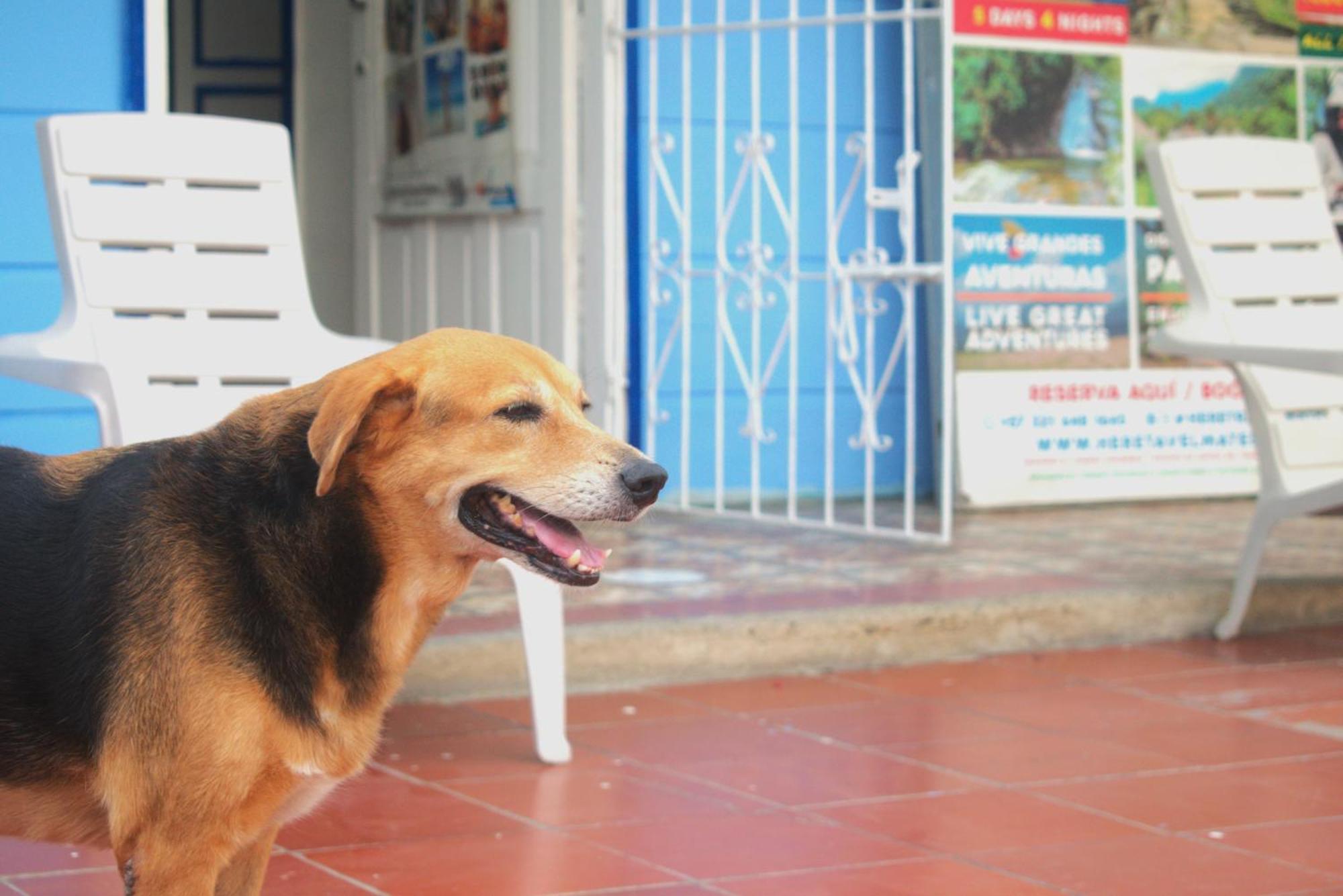 Hostel Hosting And Travel Services 420 Cartagena