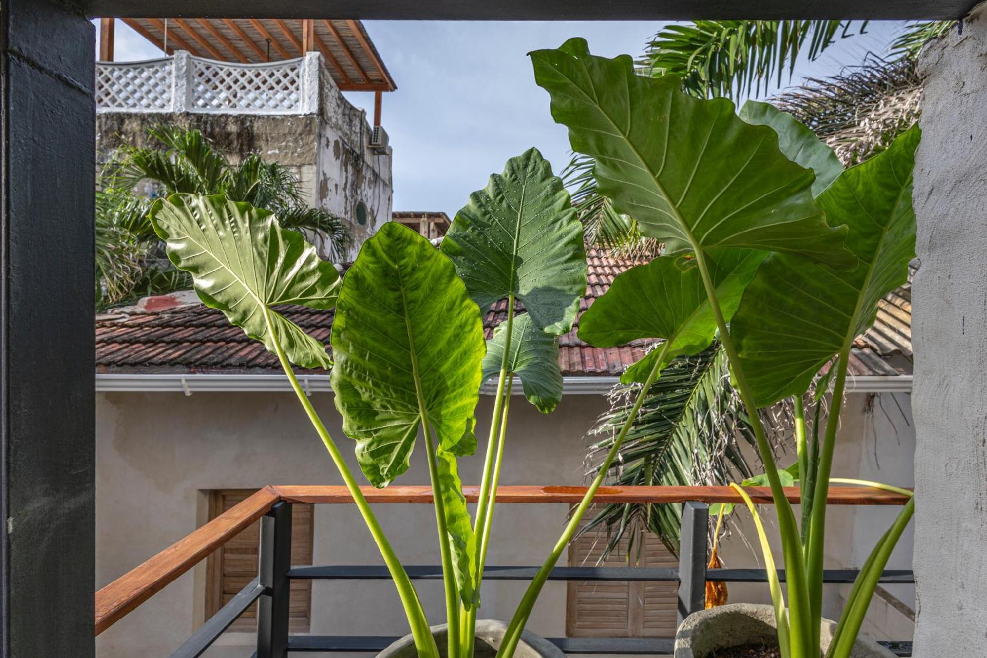 Holiday home Casa Fernandez By Soho *