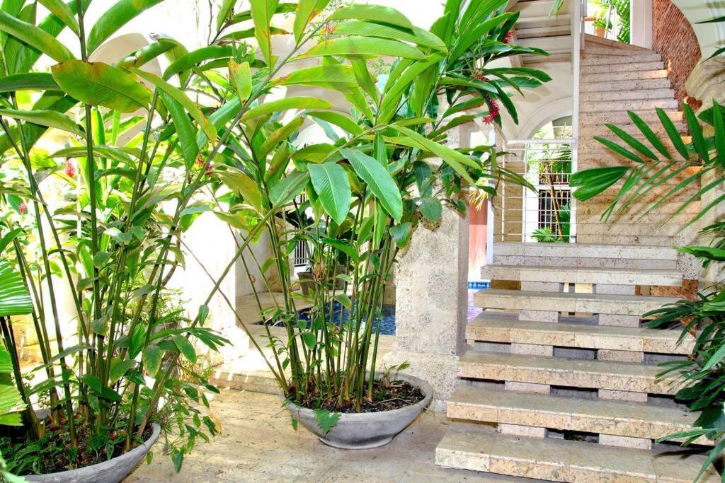 Charming 1br In The Heart Of Cartagena's Old Apartment