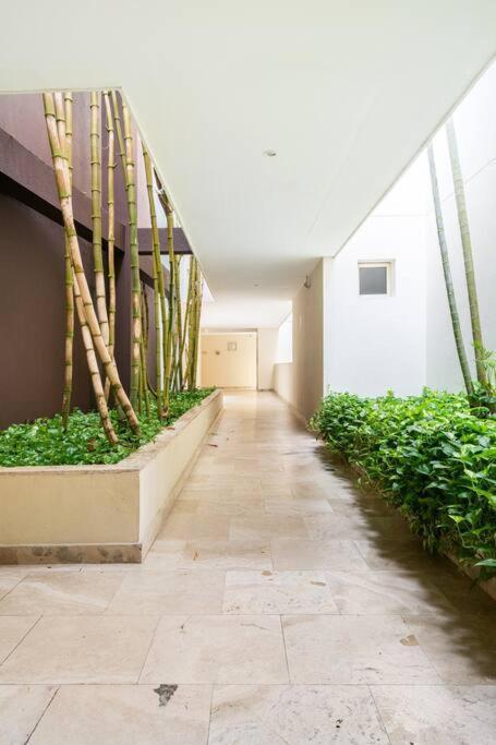 Apartment Location & Comfort In The Walled Cartagena