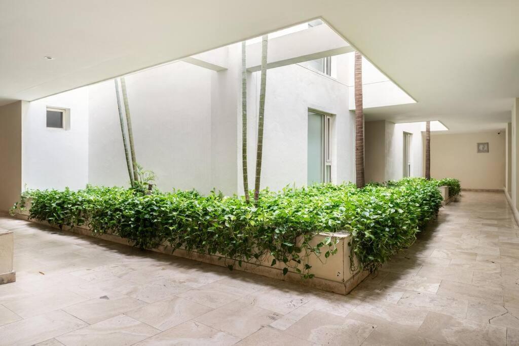 Apartment Location & Comfort In The Walled