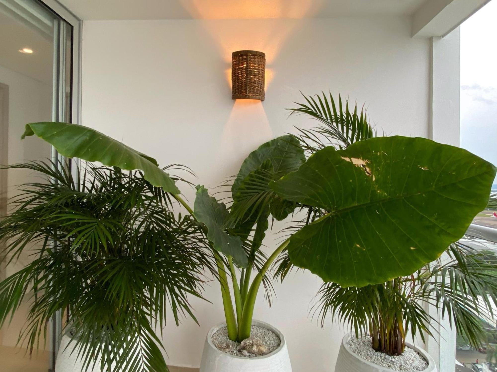 Wynwood Apartment