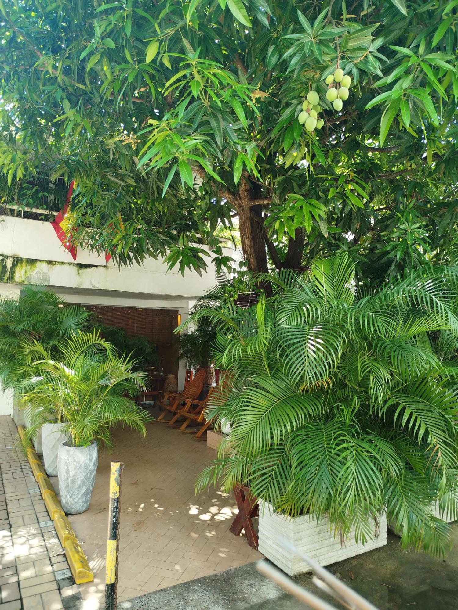 Casa Corozo Boutique Guest house *