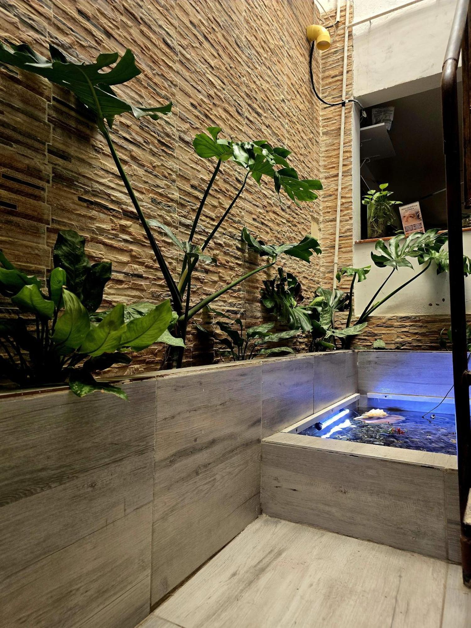 Bed & Breakfast Casa - El Alcatraz *
