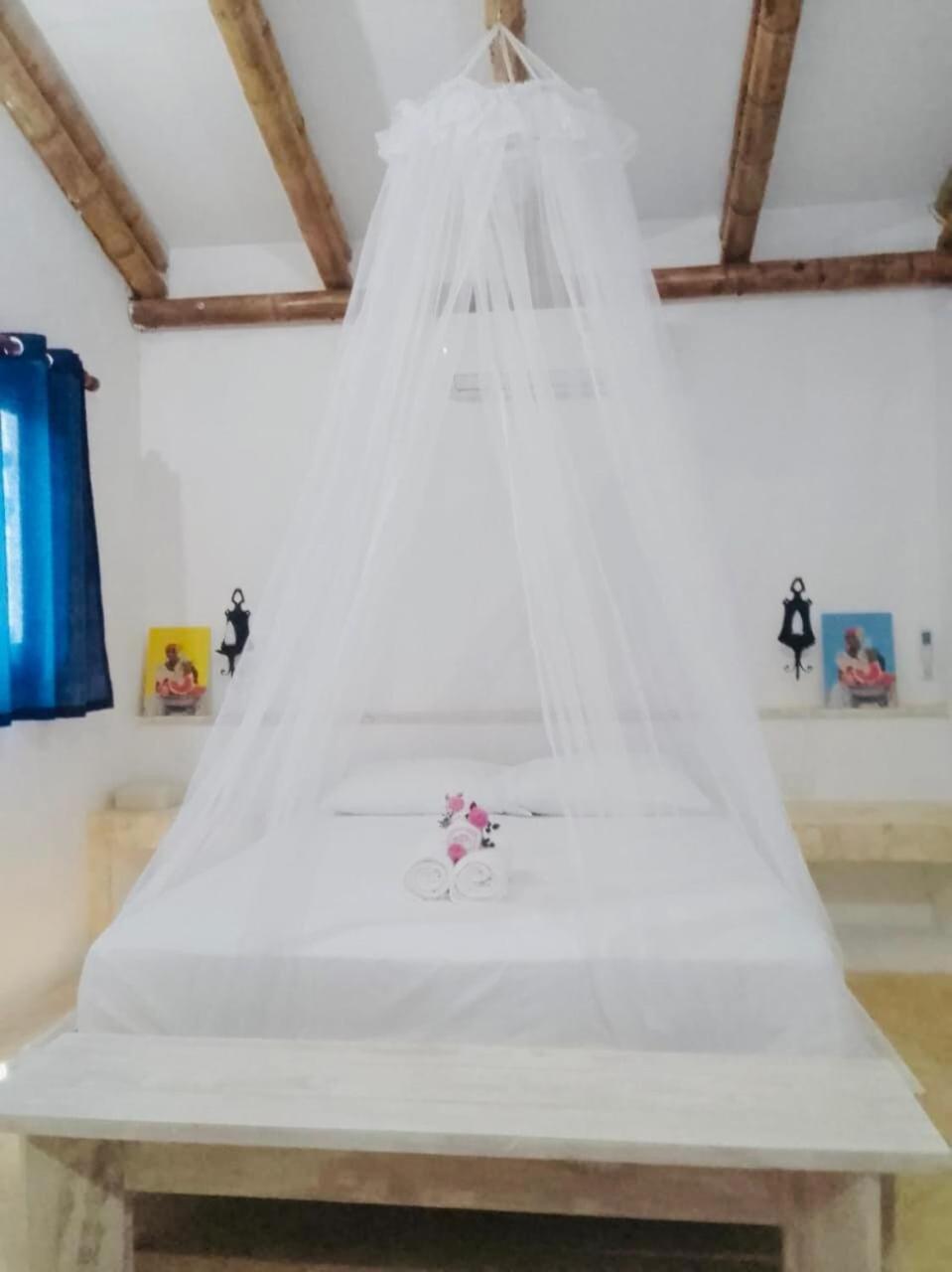 Villa Cuatro Palmas House *