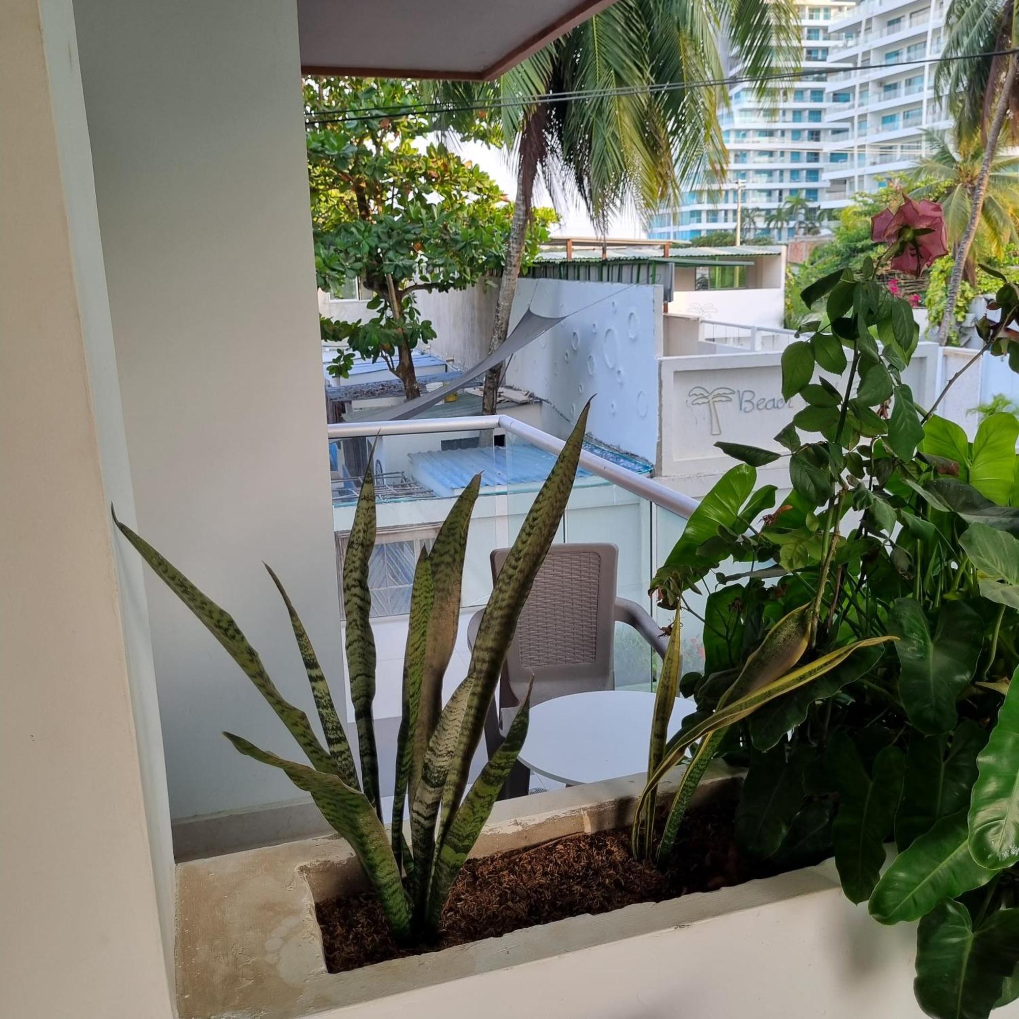 Hotel Dreimar Boutique Cartagena