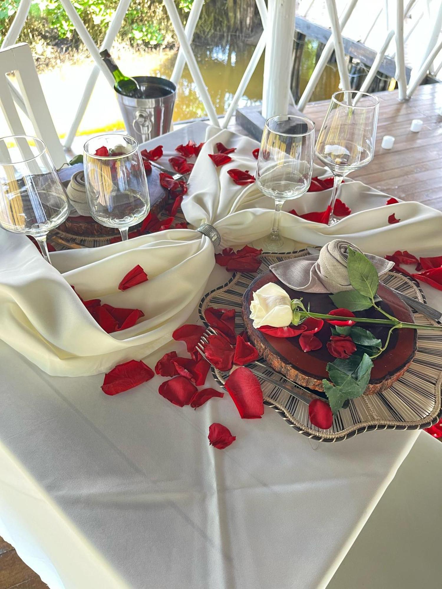 Resort Santo Manglar Life Wellness