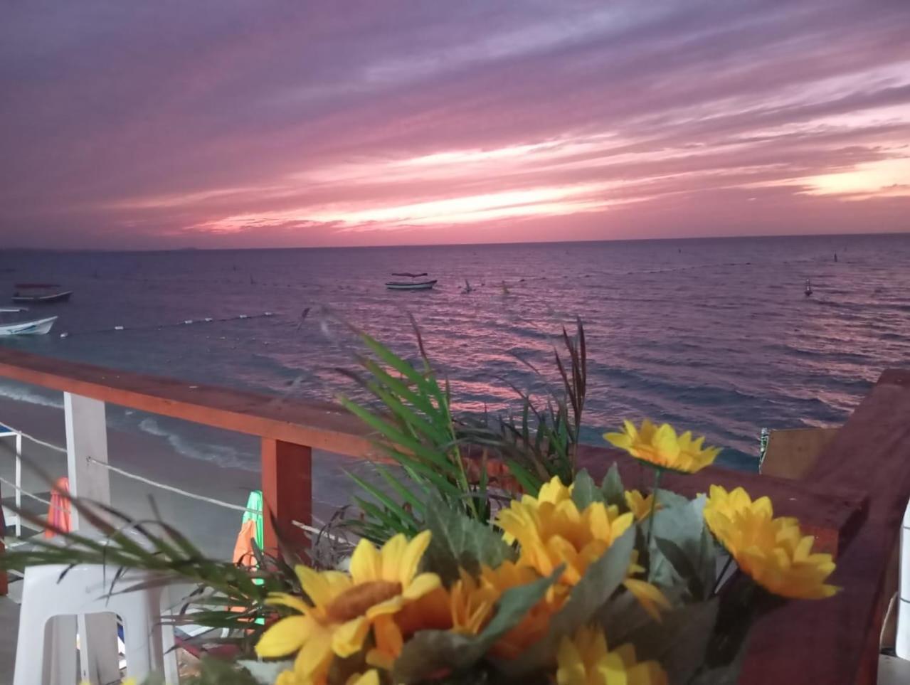 Chamos Guest house