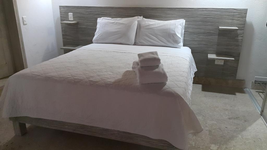 Virrey Apartment *