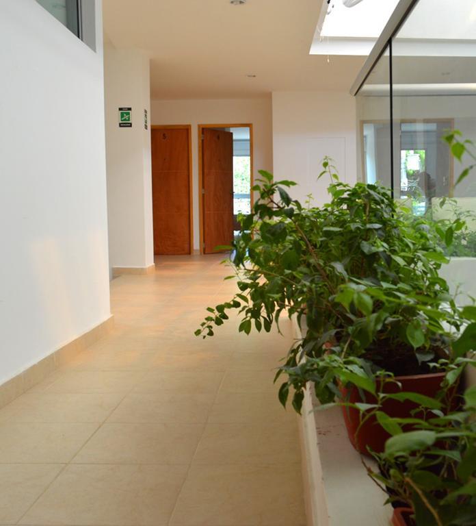 Hostel Casa Moma *