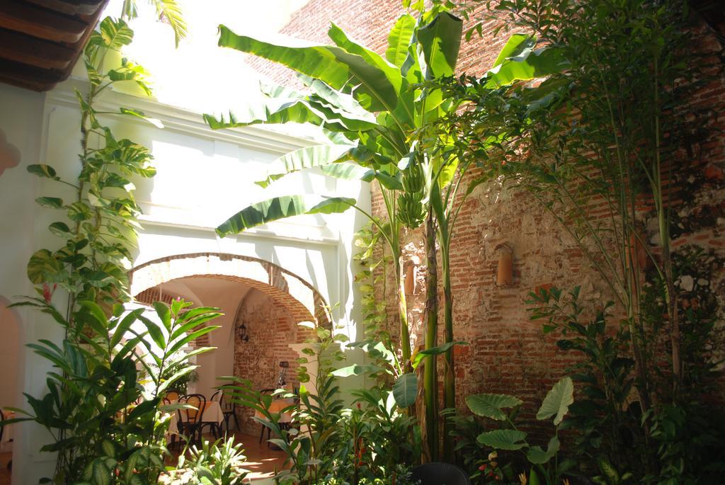 Alfiz Cartagena