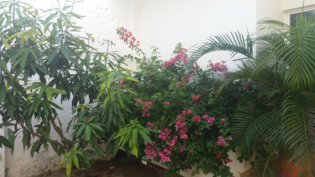 Сasa de vacaciones Casa El Mangle *