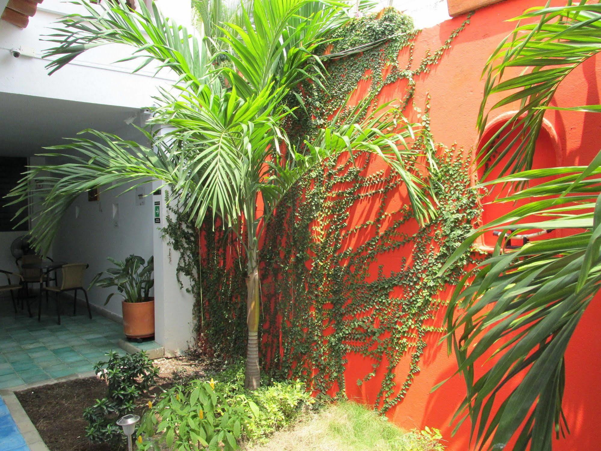 Hotel Zana Boutique 3*