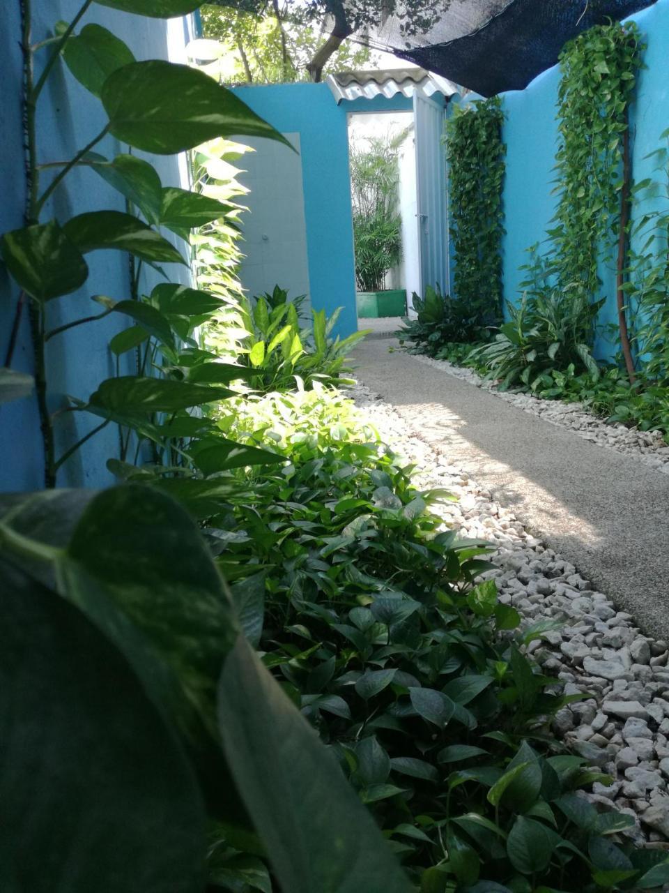 La Casa Azul *