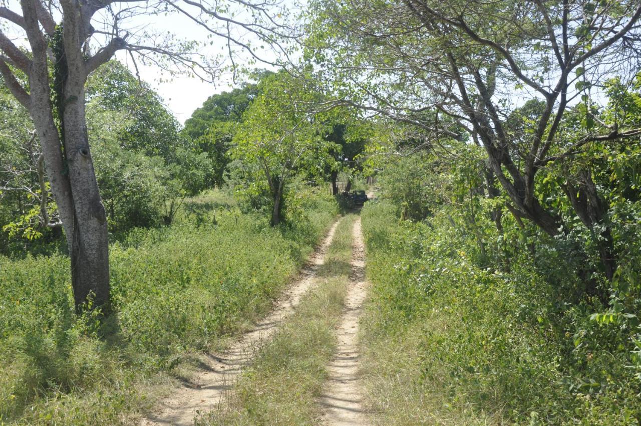 Punta Canoa * Cartagena