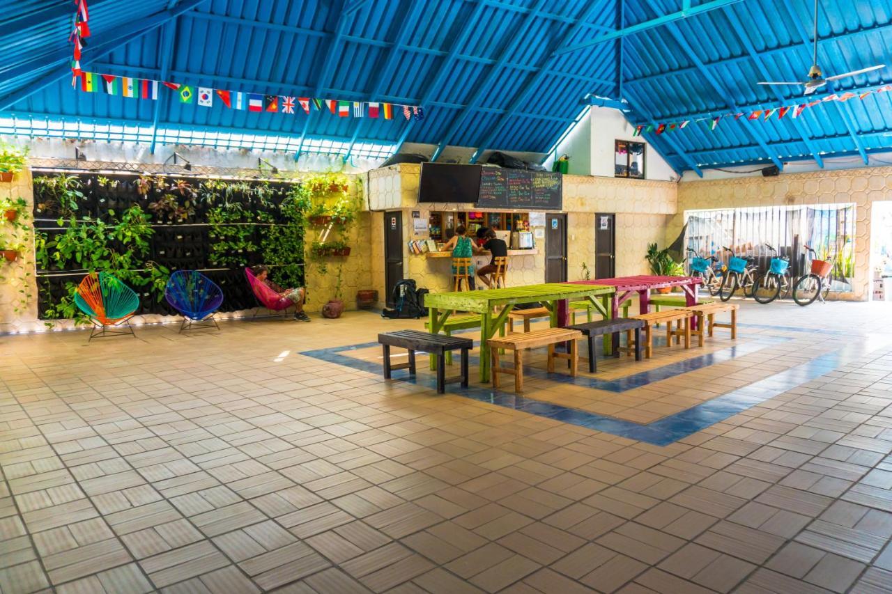 Wonderland By Gb Collection Hostel Cartagena