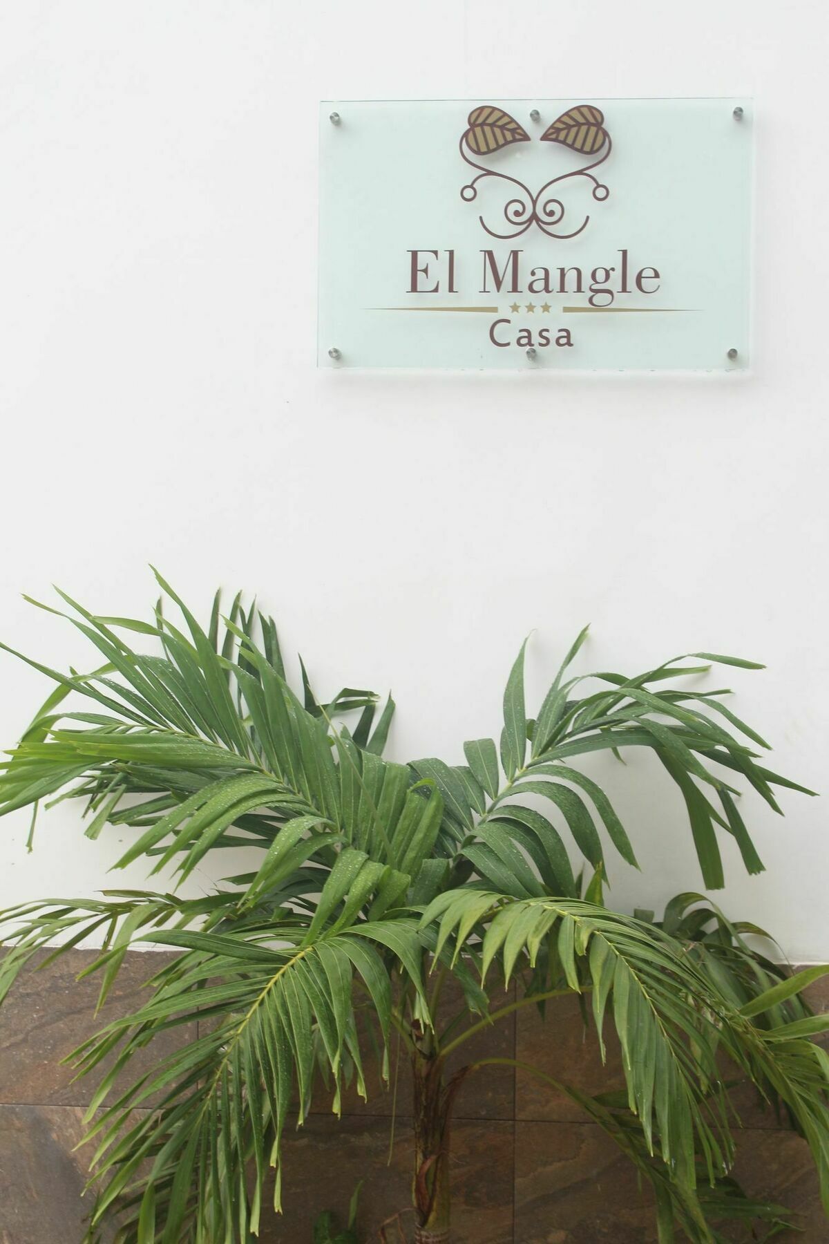 Casa El Mangle