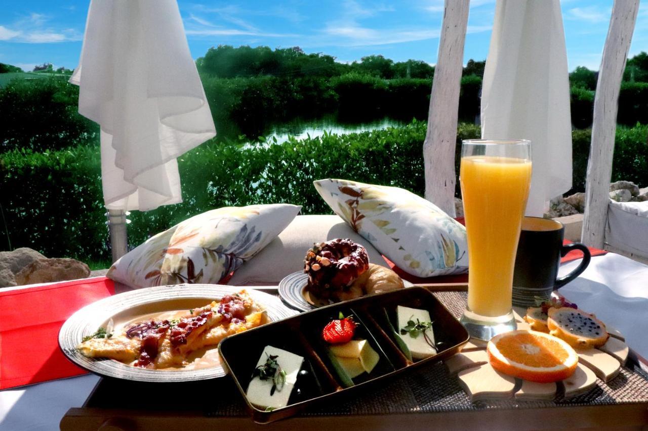 Santo Manglar Life Wellness