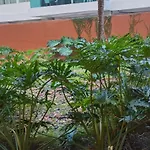 Newly Remodeled Intro Rate Caribbean Beachfront Getaway