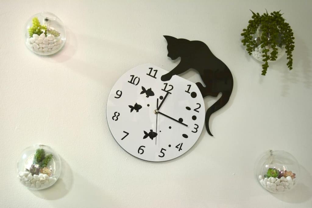 Apartment Casa Del Gato