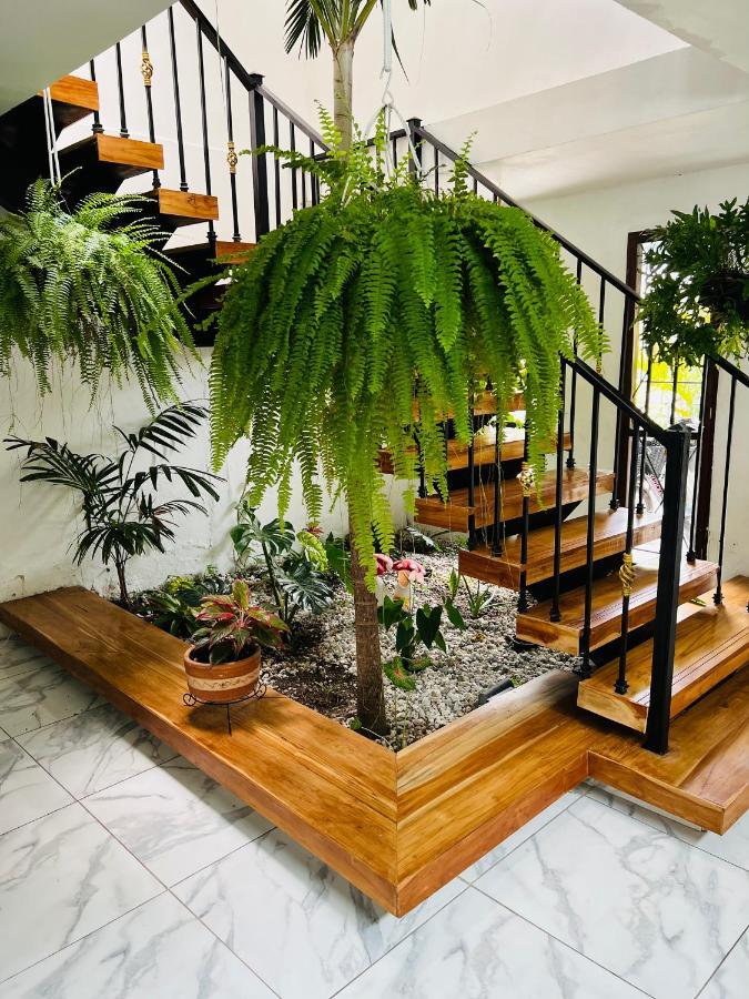 Guest house Le Marie *
