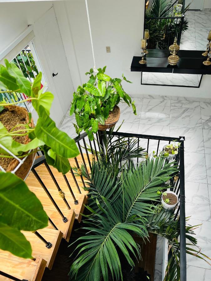 Le Marie Guest house *
