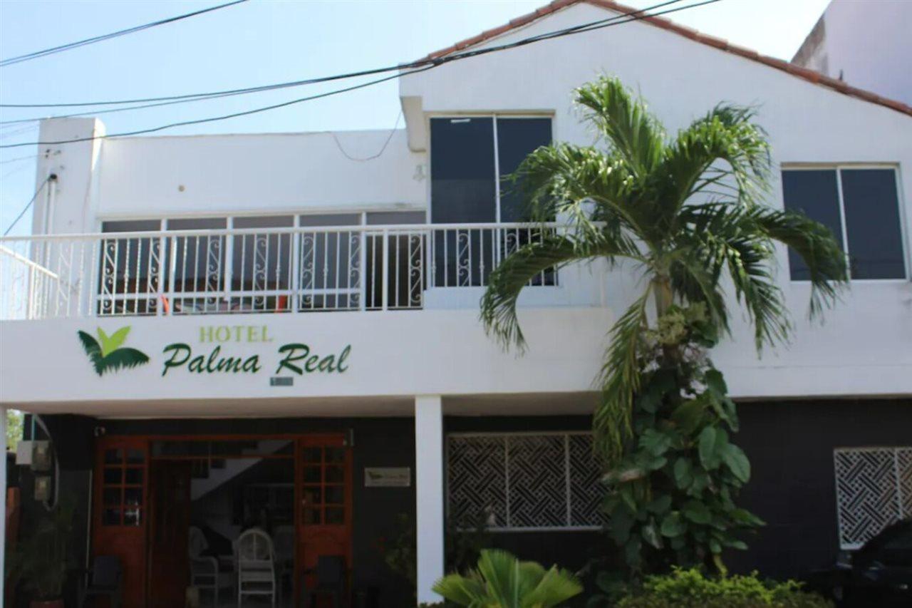 Palma Real Cartagena