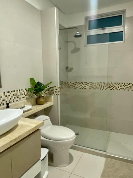 Palmetto Bella Vista Cartagena