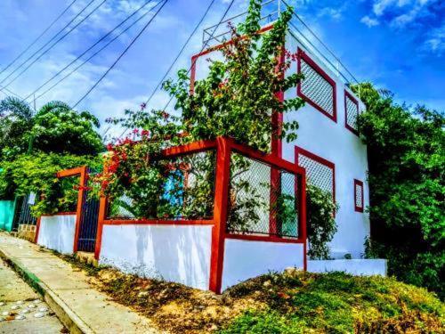 Casa de hóspedes Hamacas, 2 Minutes From The Old Town, We Speak English!! *