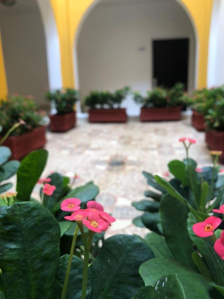 San Martin Cartagena