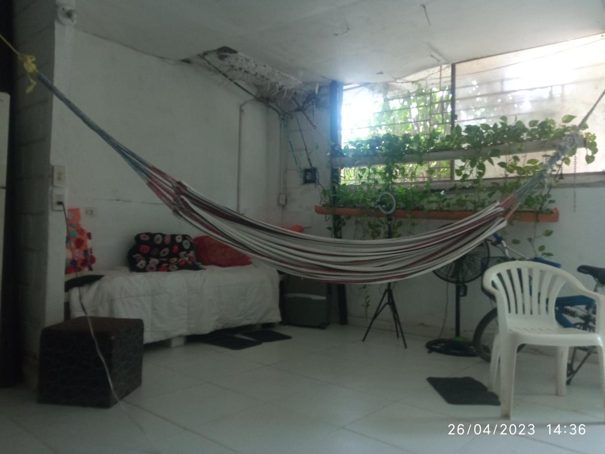 Homestay Sol *