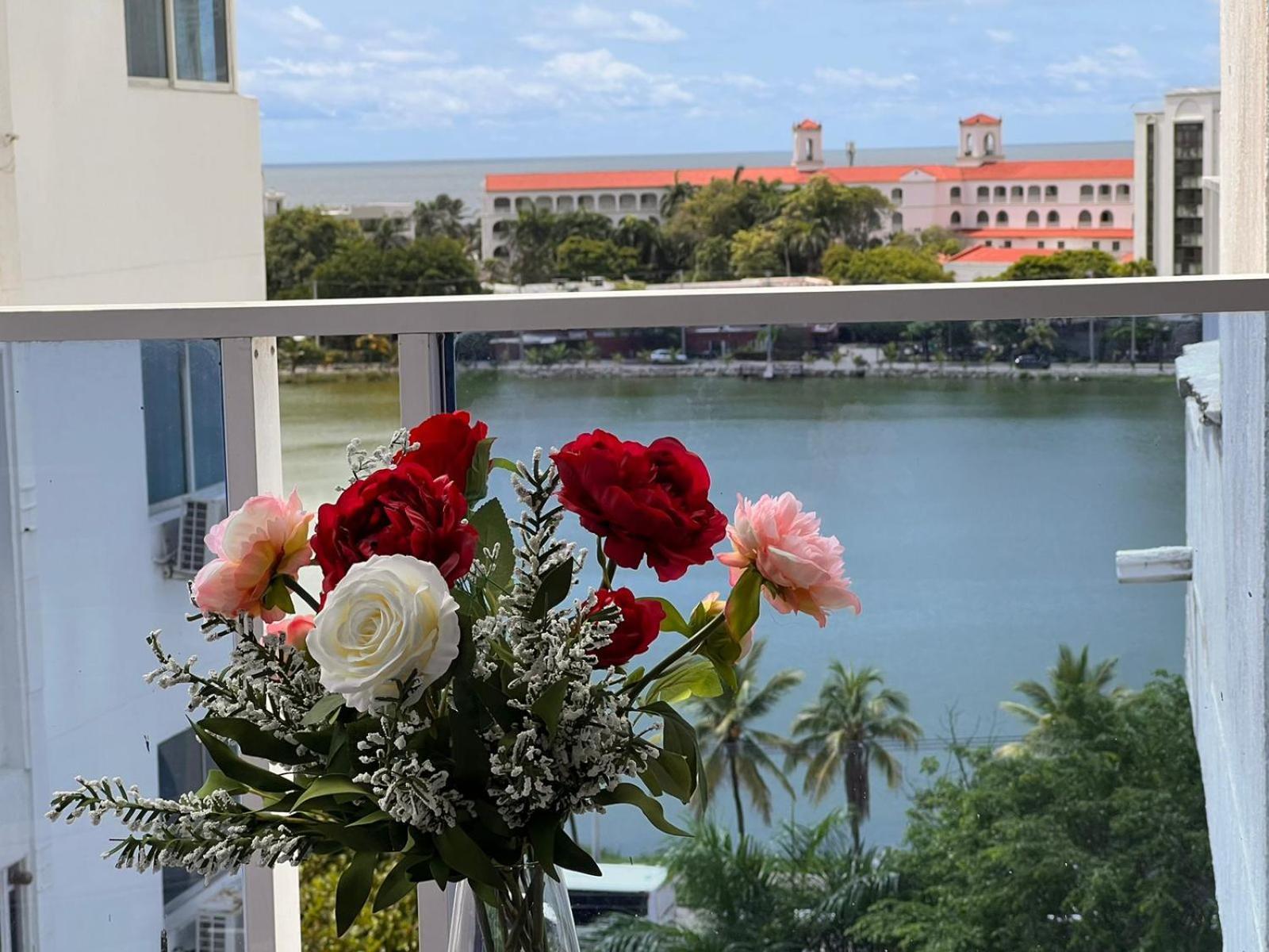 Bienesweb Conquistador Premium Apartment