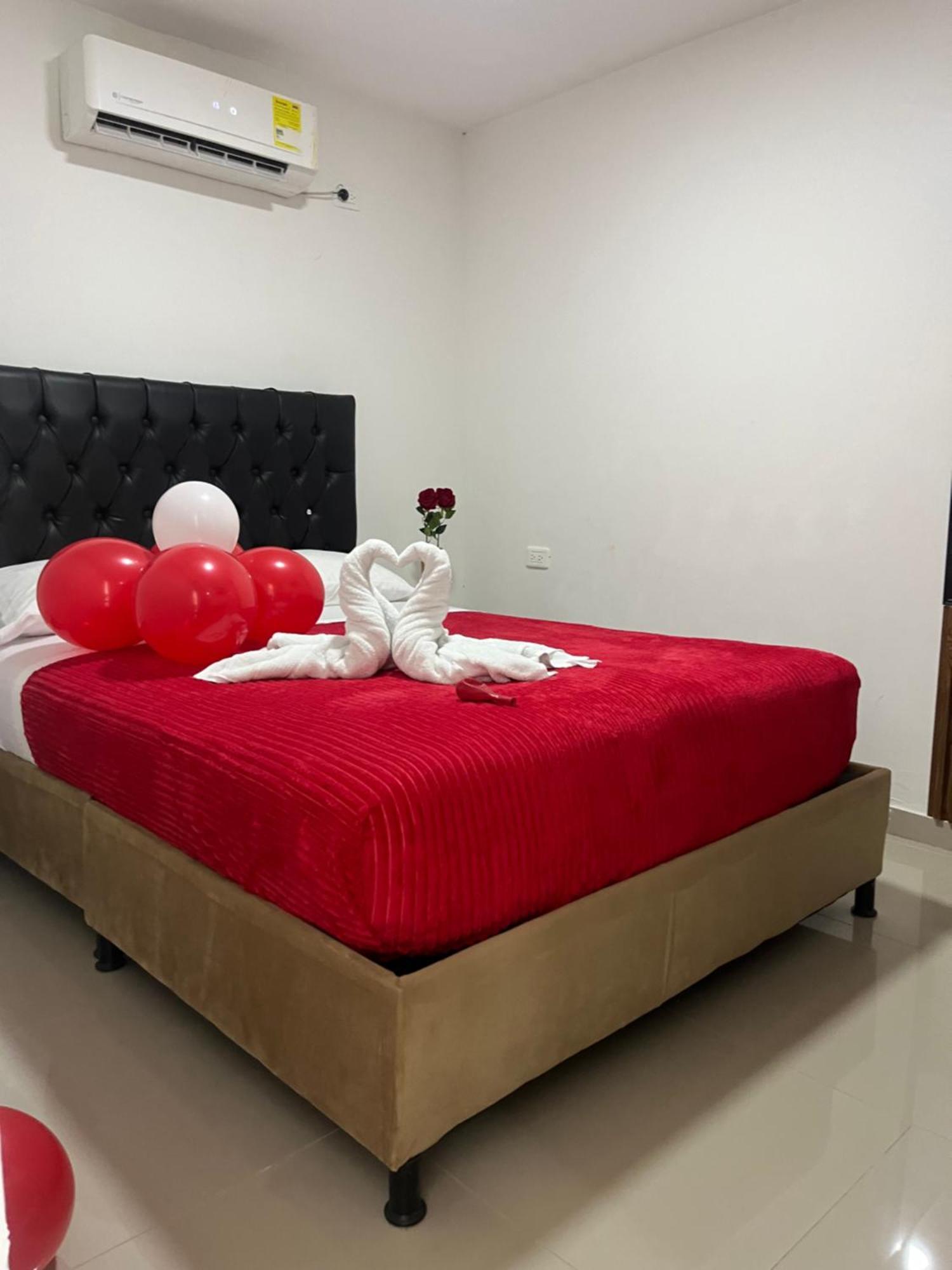 Corales By Ha Homestay *