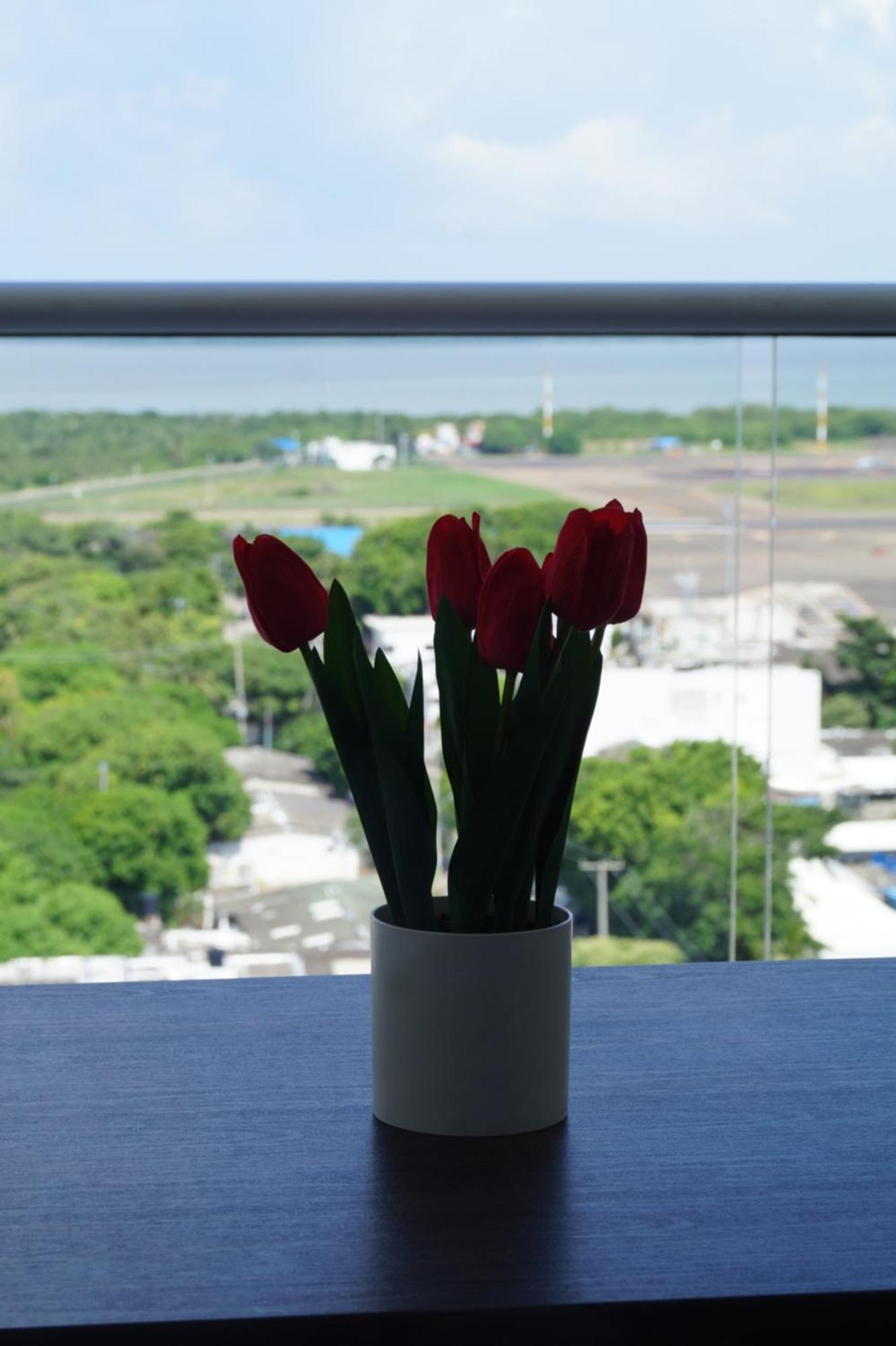 Aparta Crespo Aeropuerto Apartment *