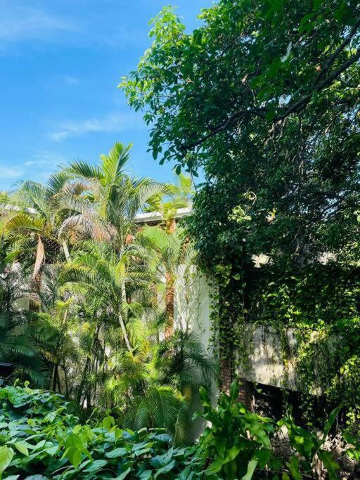 Apartment Modern Comfort - Spacious 2br In Walled Cartagena