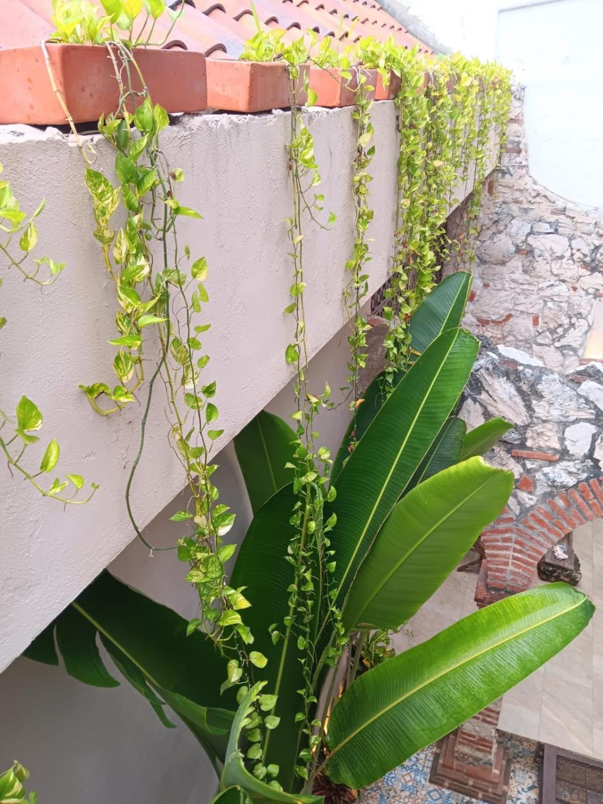 Apartment En Getsemani Pod A