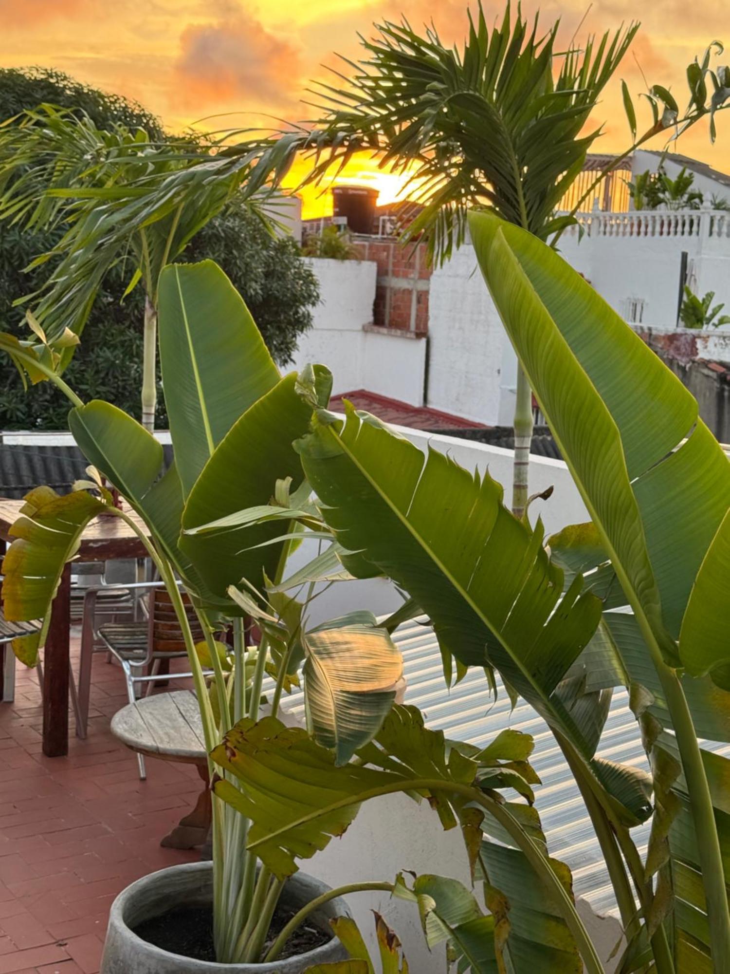 Pachamama Hostal *