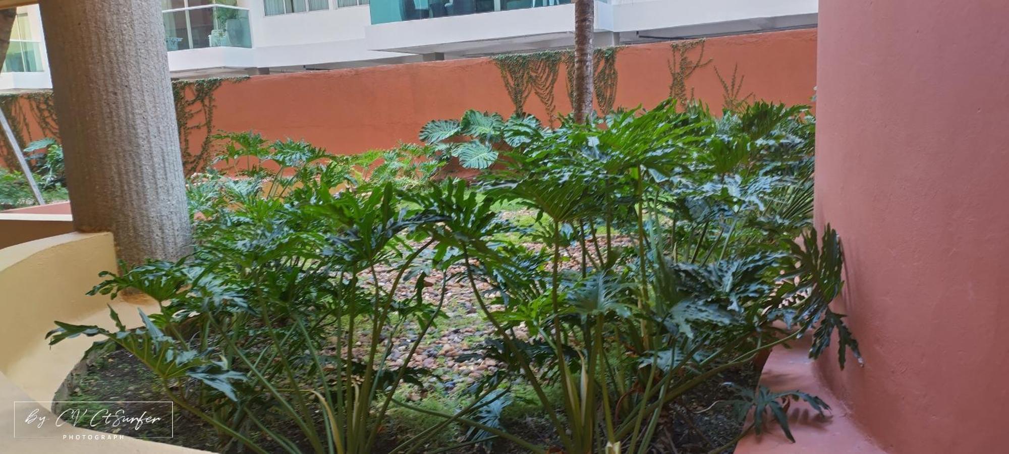 Apartment Newly Remodeled Intro Rate Caribbean Beachfront Getaway *