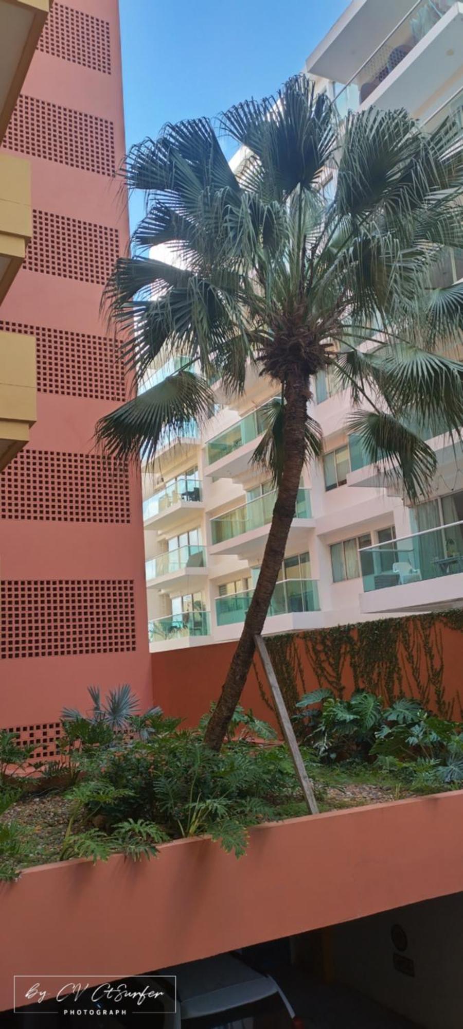 Newly Remodeled Intro Rate Caribbean Beachfront Getaway *