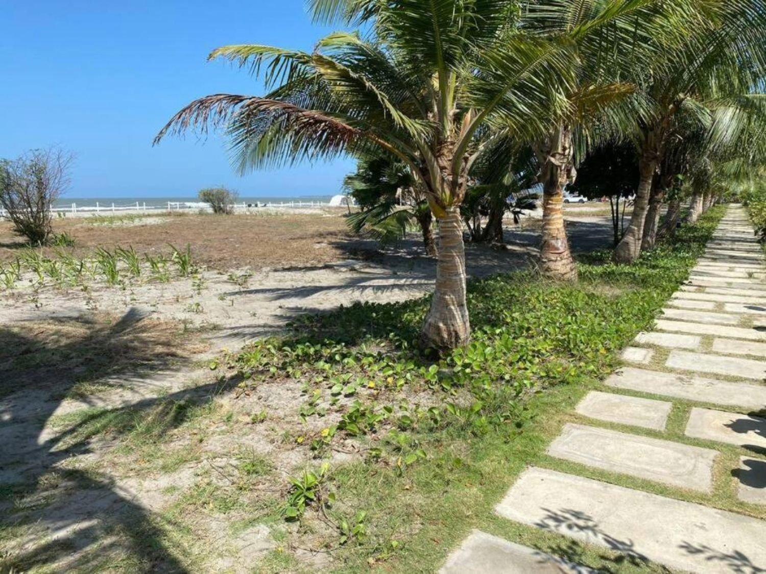 Apartment Frente Al Mar Con Acceso Directo A La Playa Morros Io *