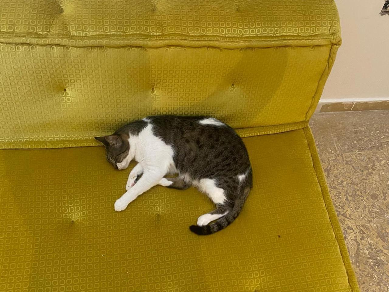 Coco Cartagena