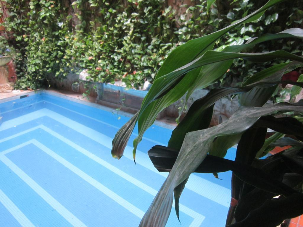 Hotel Casa India Catalina 3*