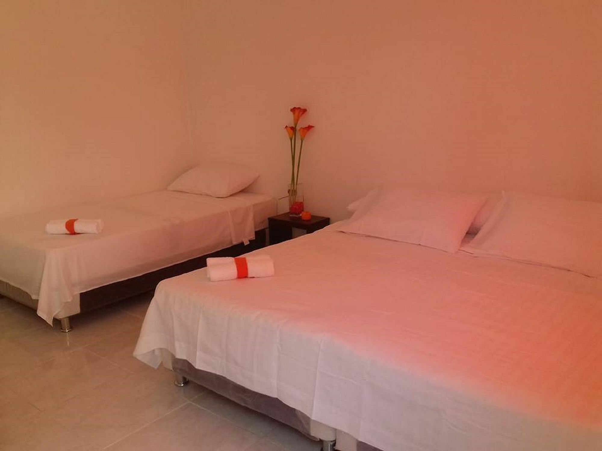 Hotel Manzanillo 2*