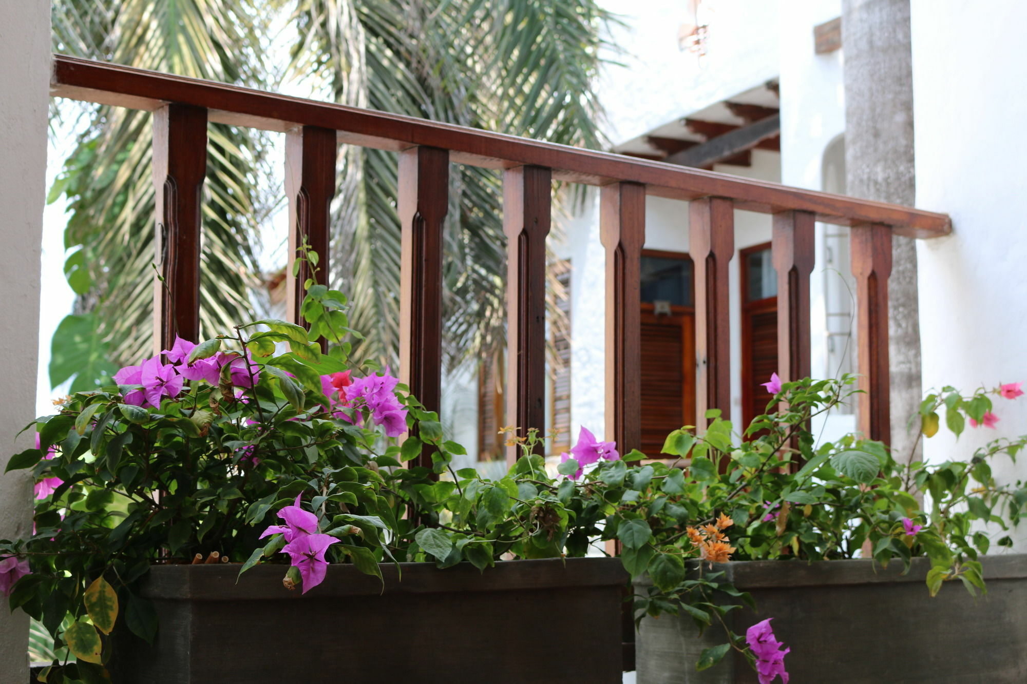 Palenque Casa Hotel By Hmc Hotel Cartagena