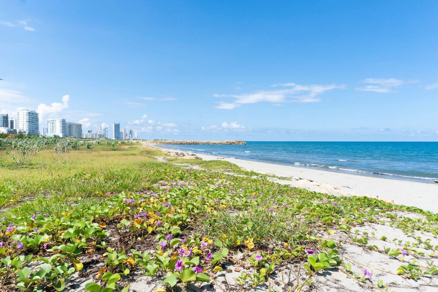 Apartamento Cb1004 Moderna Costera Con Vista Al Mar Cartagena
