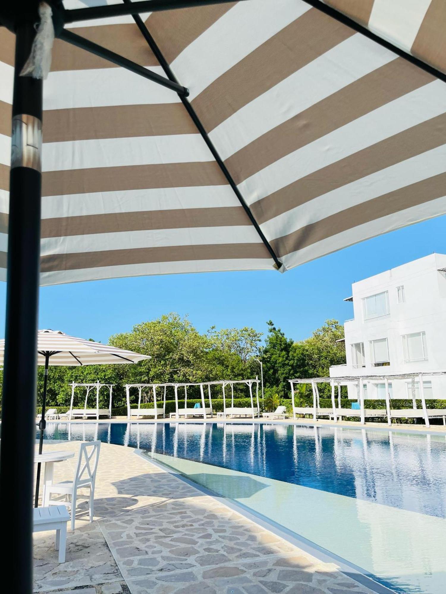 Santo Manglar Life Wellness